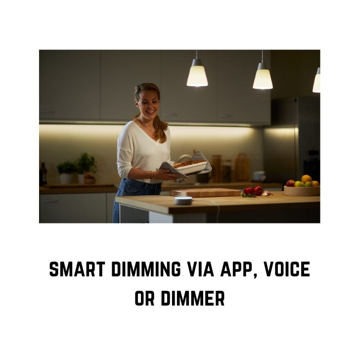 WiZ Smart Lighting by Philips E27 9W Tunable White Smart Bulb