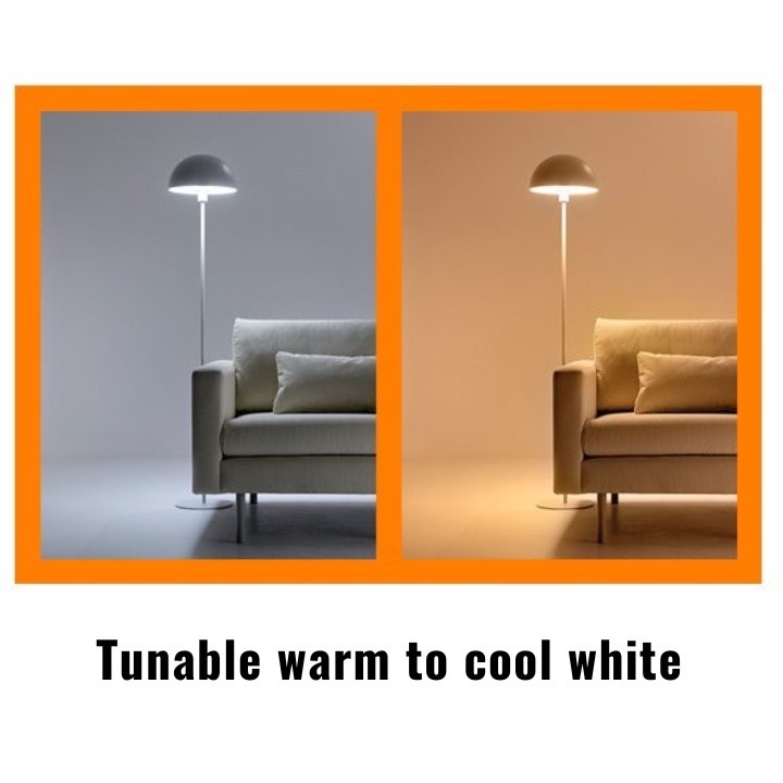 WiZ 5" 12.5W /6" 17W Tunable White Smart Downlight
