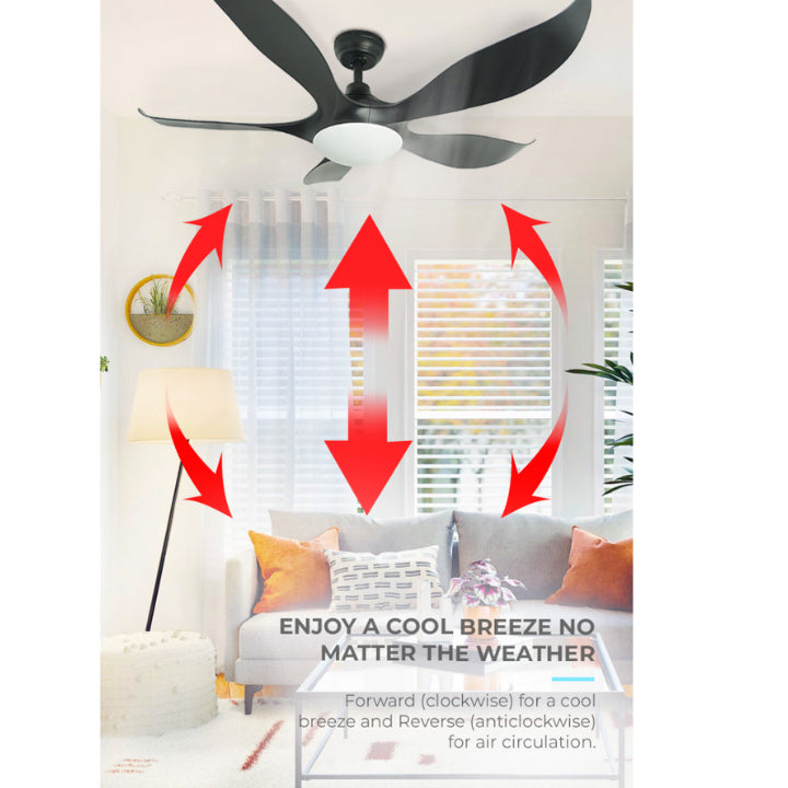 Mistral D'Fan 52" Typhoon 52 DC Ceiling Fan