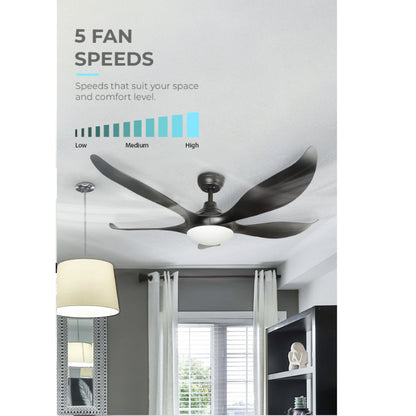 Mistral D'Fan 52" Typhoon 52 DC Ceiling Fan