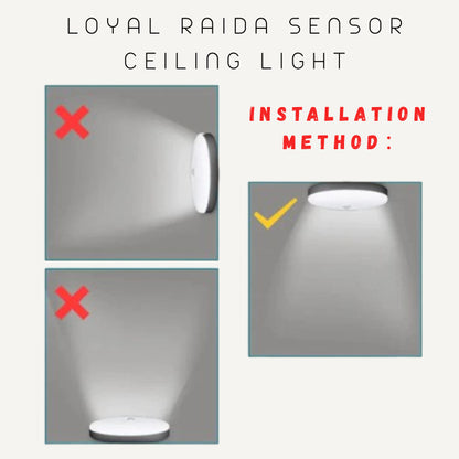 Loyal Raida Sensor Ceiling Light