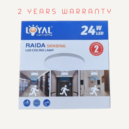 Loyal Raida Sensor Ceiling Light